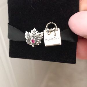 Pandora Charms